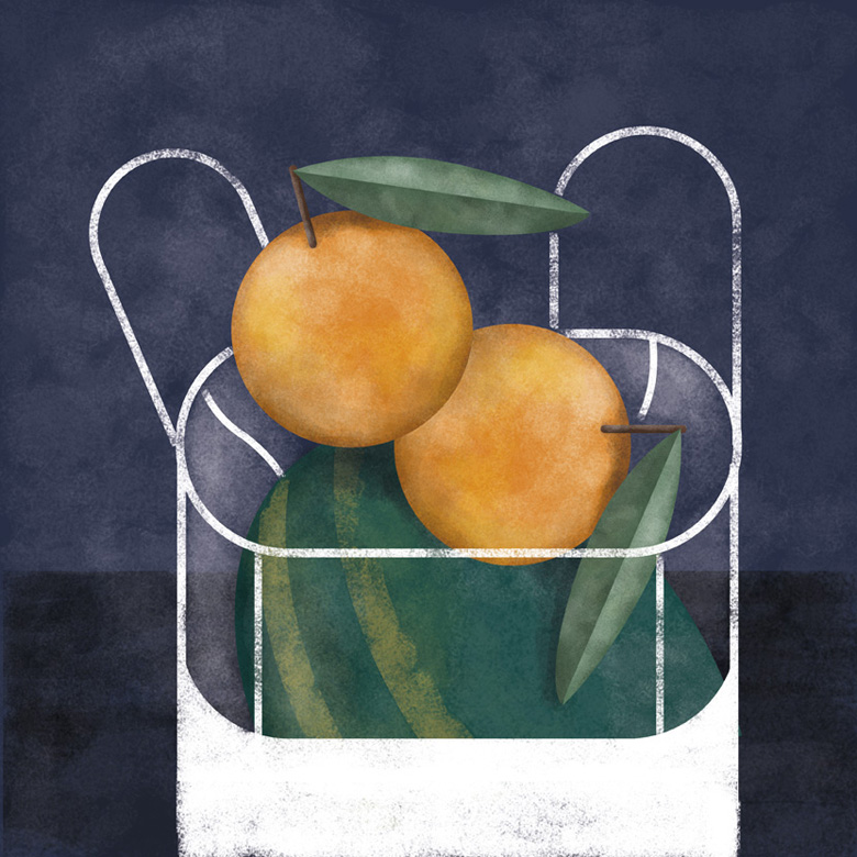 03-Ilustracion-frutas-naranjas-melon