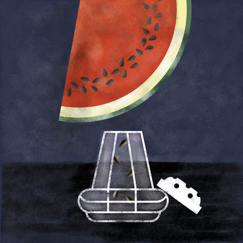 04-Ilustracion-frutas-sandia-salero