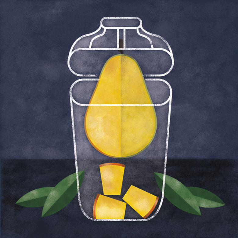06-Ilustracion-frutas-mango