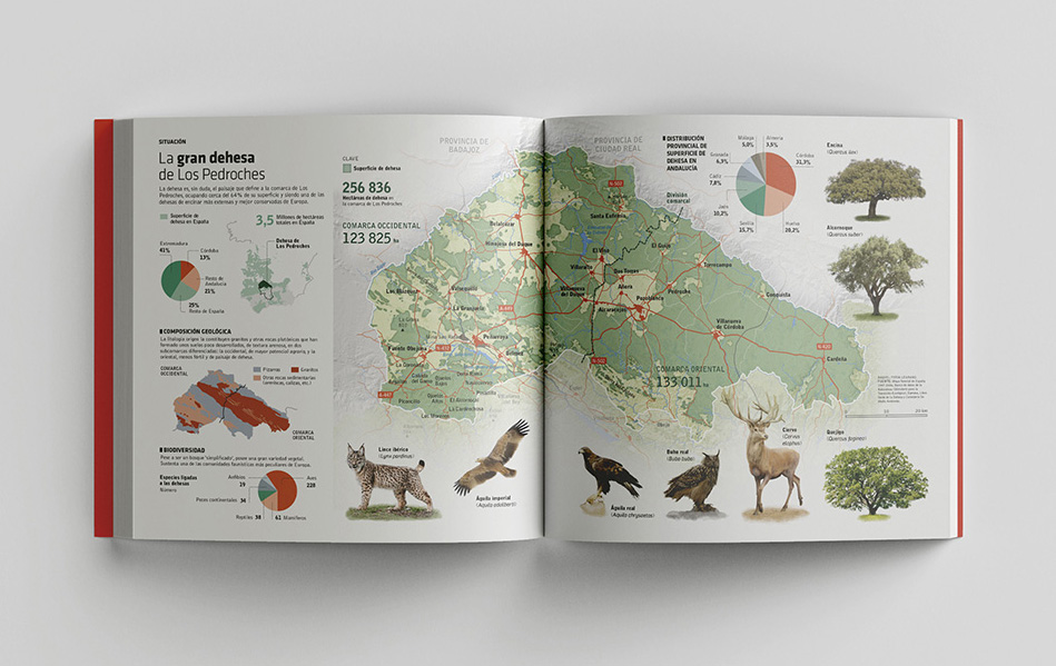 Elaboración de mapas para anuarios de empresa