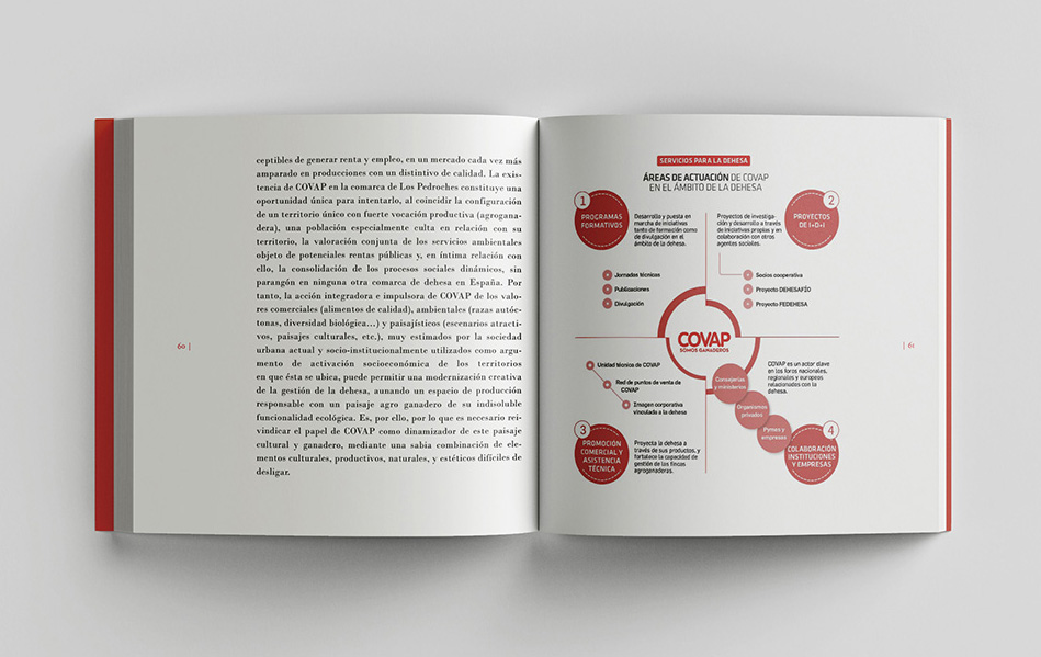 Infografías de organigramas y diagramas para anuarios y publicaciones de empresas