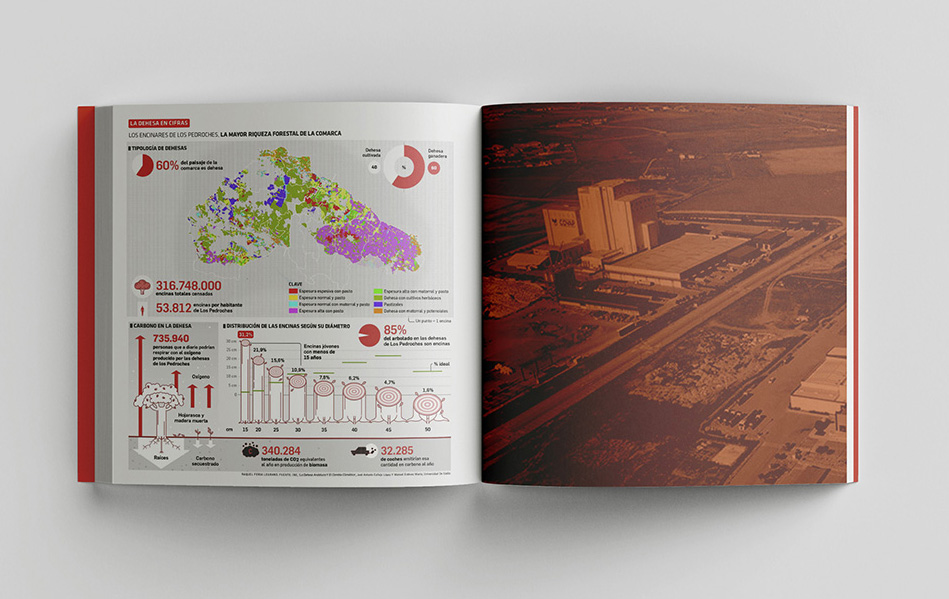 Visualización de datos e infografías para anuarios y publicaciones de empresa