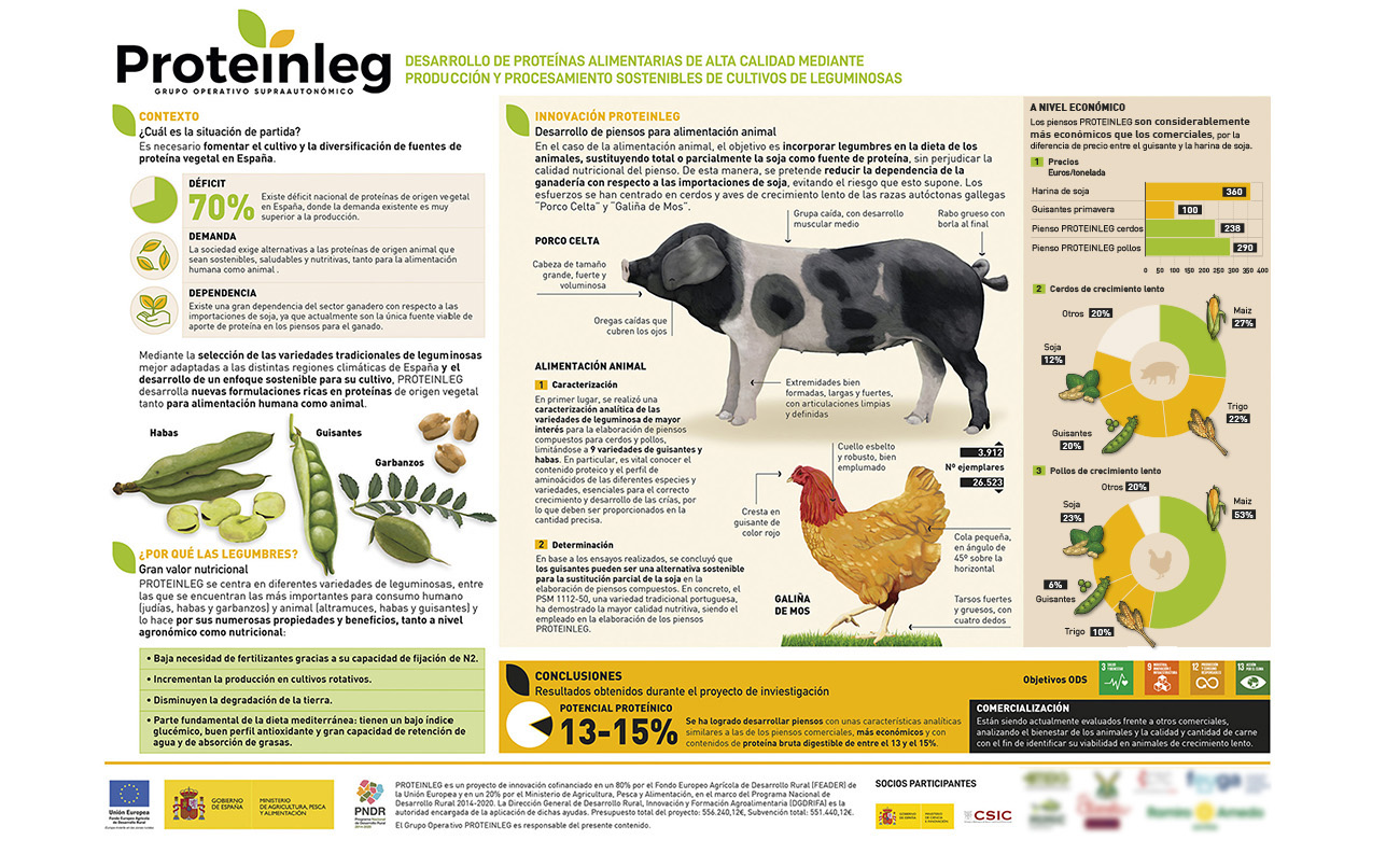 Ilustraciones científicas para infografía, infografía para cartel