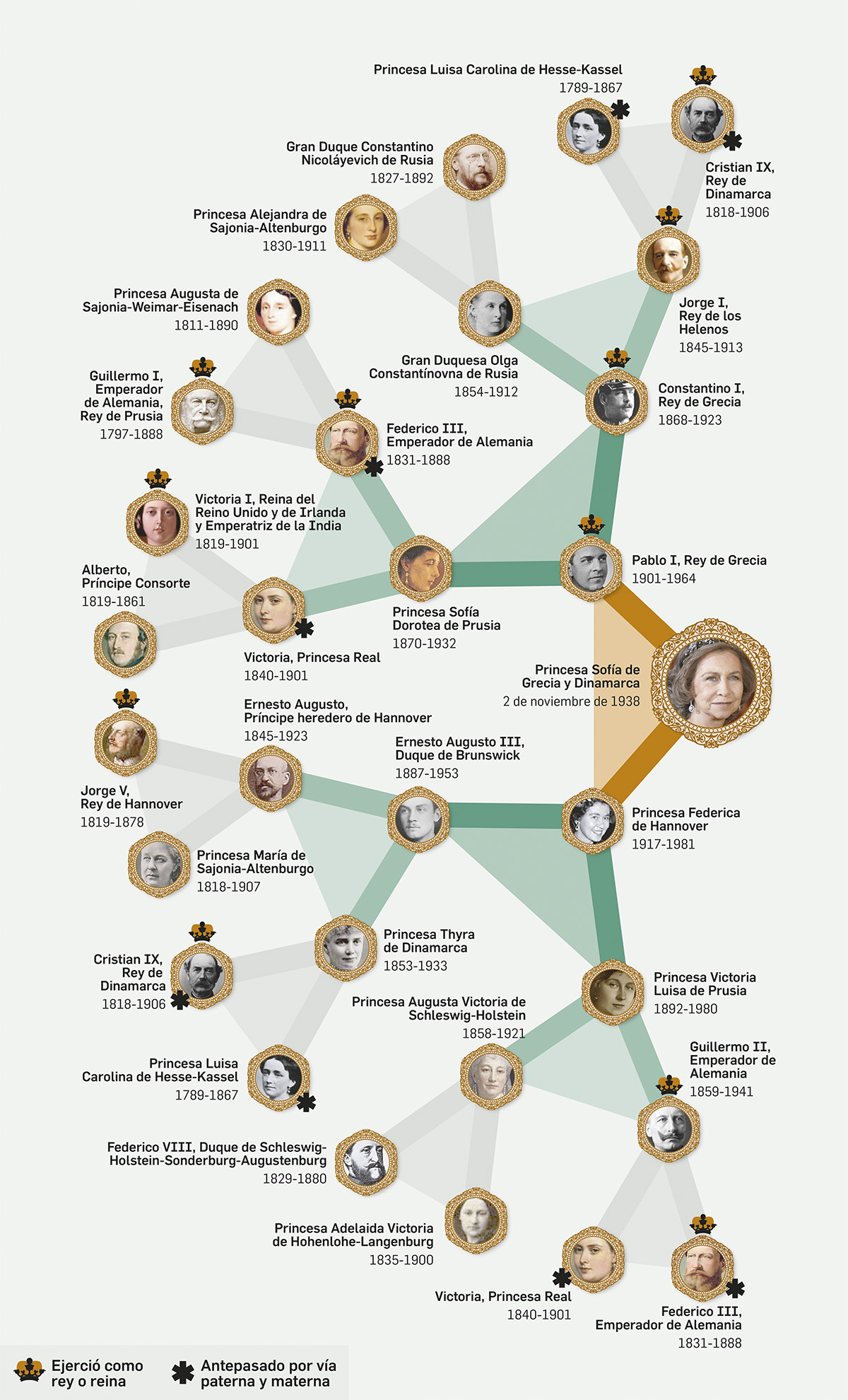 Infografía de árbol genealógico real en estilo moderno