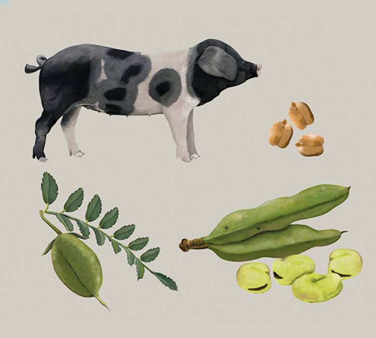 Infografía e ilustración científica