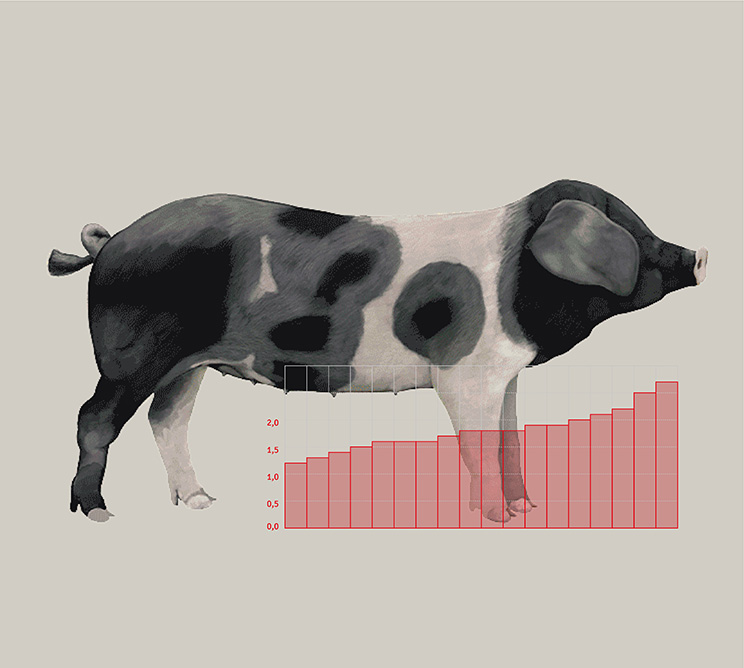 Infografía e ilustración científica, diseño de póster científico infográfico