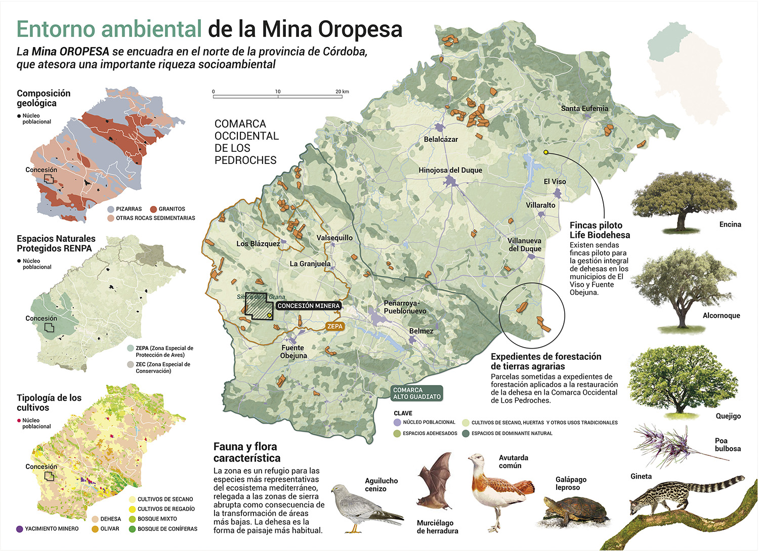 Infografía científica sobre el proyecto minero Mina Oropesa: restauración e impactos ambientales