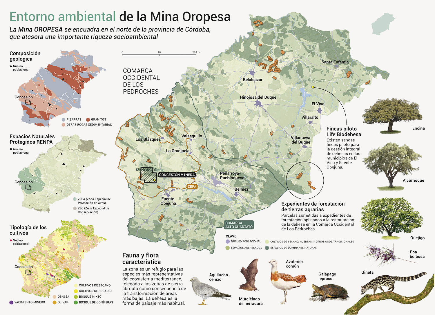 Infografía científica sobre el proyecto minero Mina Oropesa: restauración e impactos ambientales