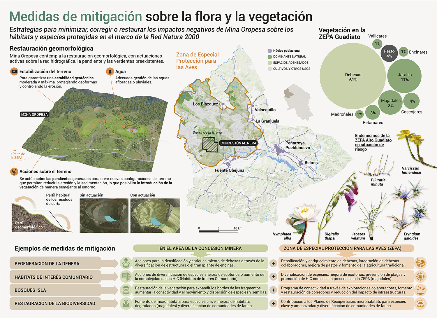 Infografía científica sobre el proyecto minero Mina Oropesa: restauración e impactos ambientales