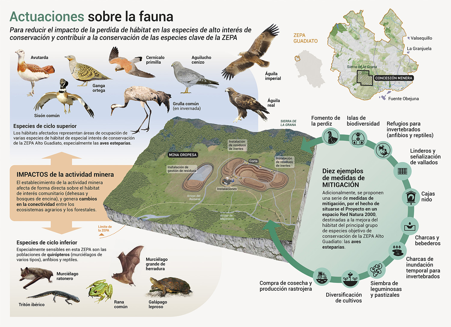 Infografía científica sobre el proyecto minero Mina Oropesa: restauración e impactos ambientales