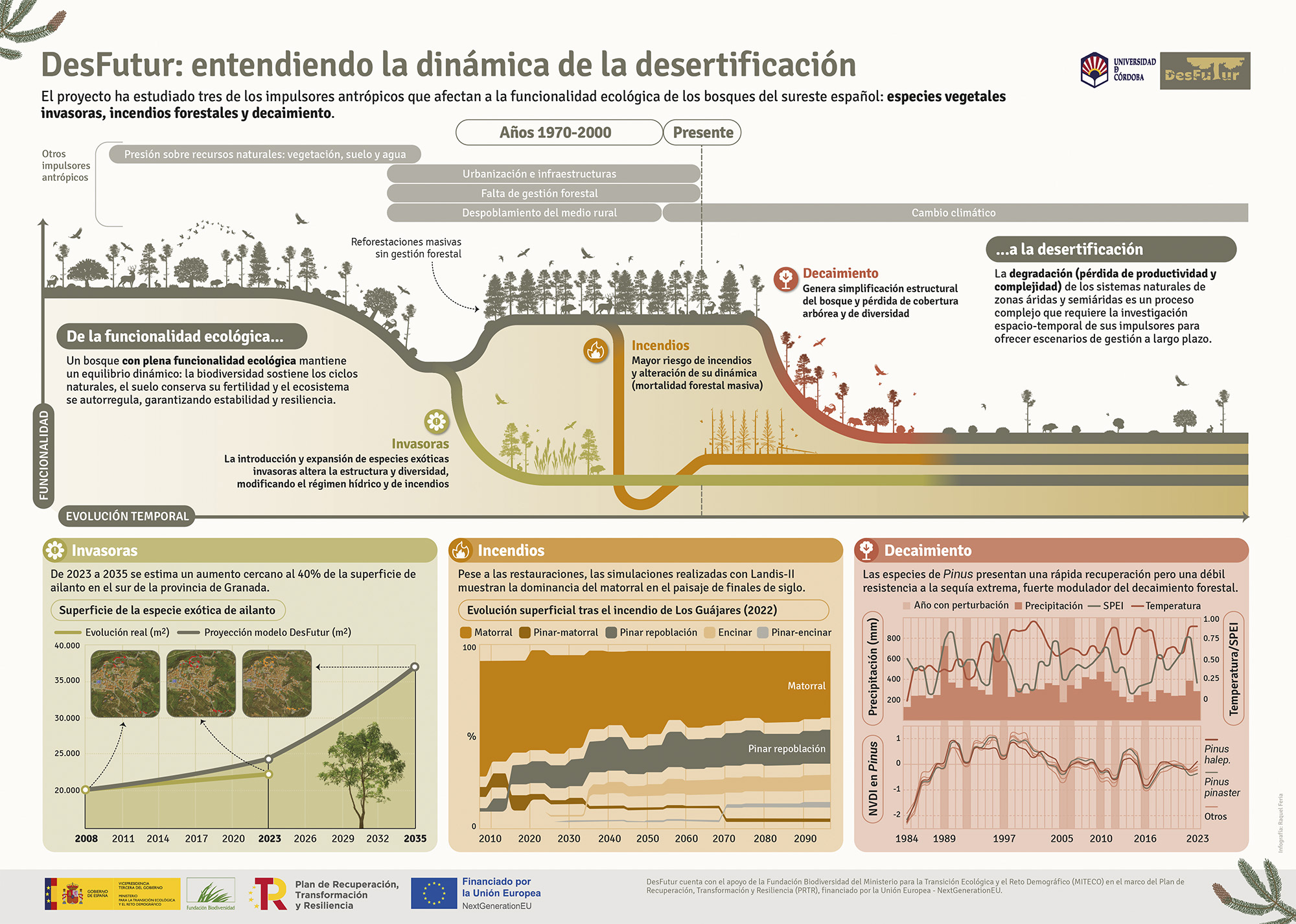 Póster infográfico que resume el proyecto de investigación Desfutur, sobre desertificación en España