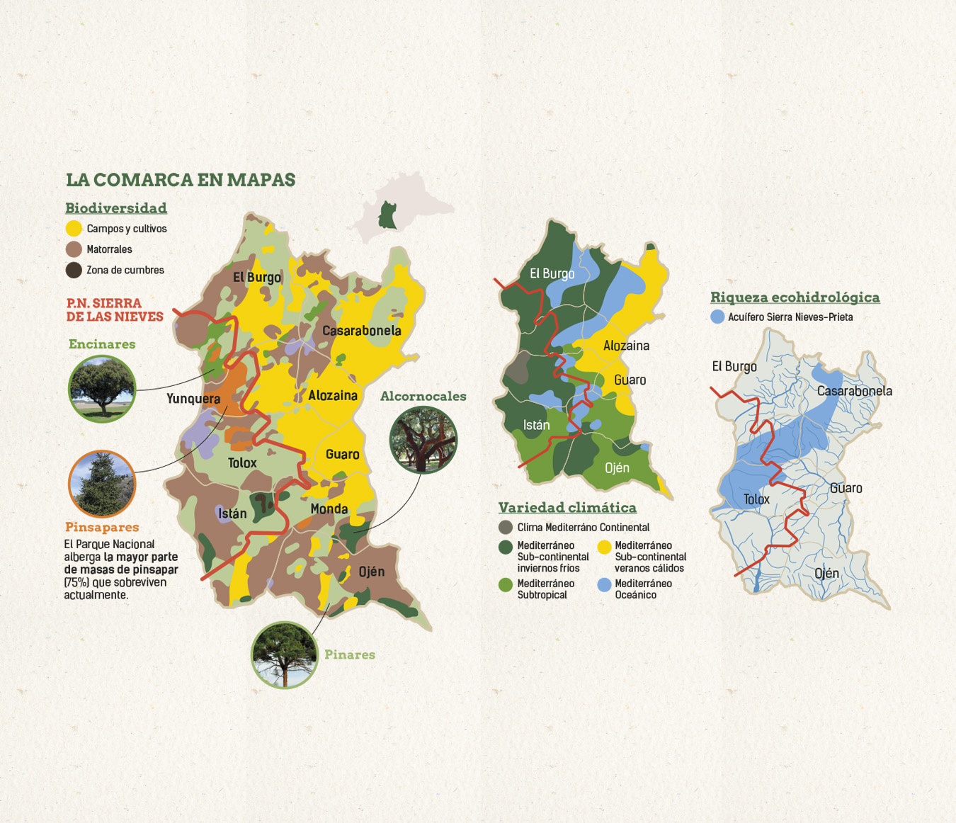 Diseño de mapas terrritoriales vectoriales