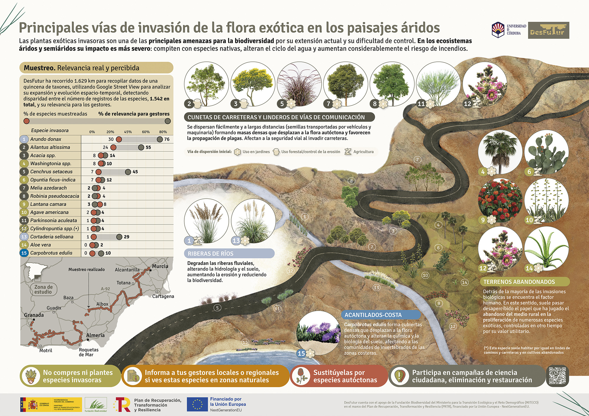 Póster infográfico que resume los resultados del proyecto de investigación Desfutur, sobre plantas invasoras y desertificación en España