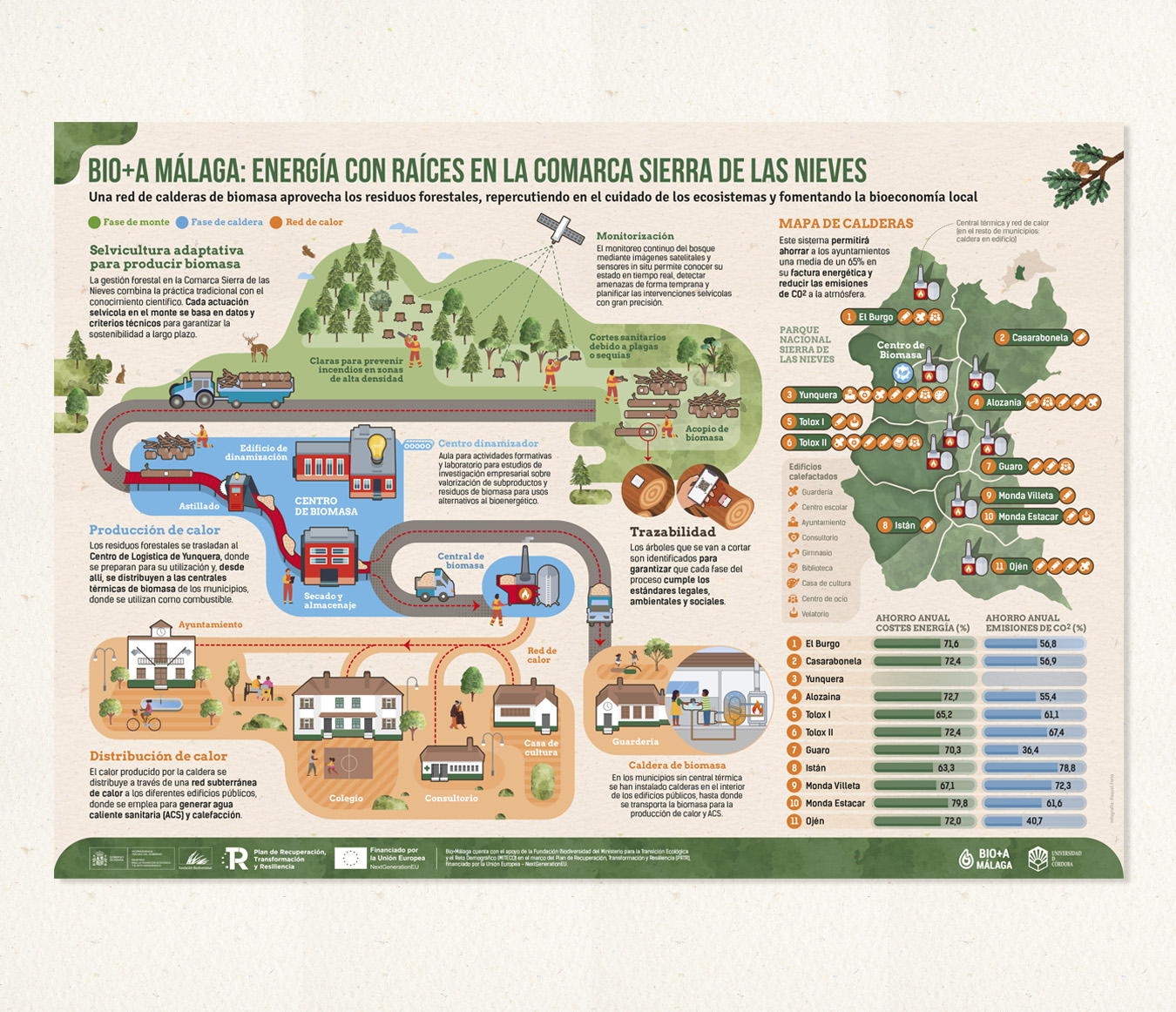 Póster científico divulgativo con infografías sobre biomasa