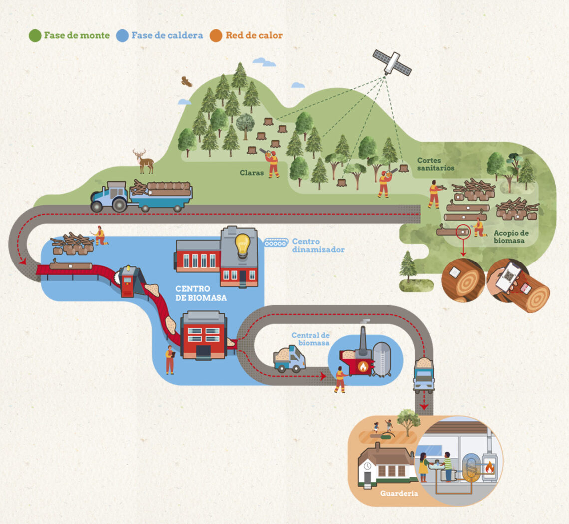 Ilustración vectorial para infografía científica